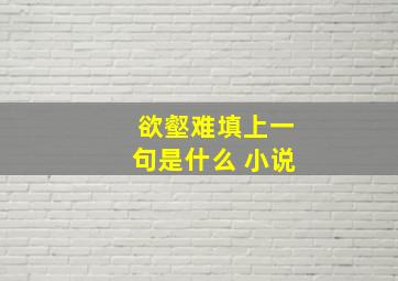 欲壑难填上一句是什么 小说